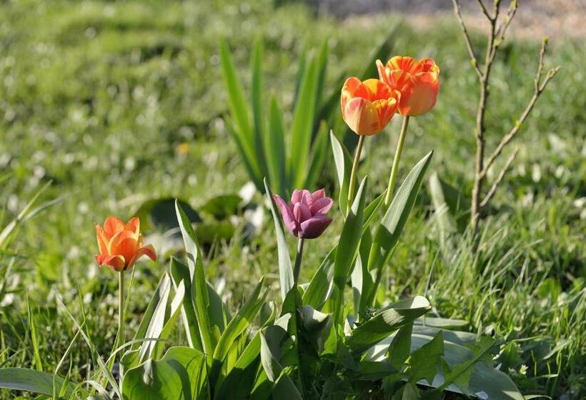 Pension Penzion U Smrku Luleč