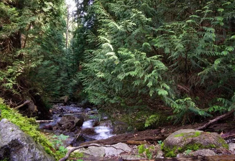 Aamiaismajoitus (B&B) Welcome Home