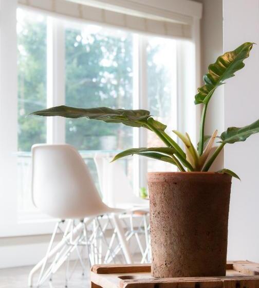 تختخواب و صبحانه Welcome Home