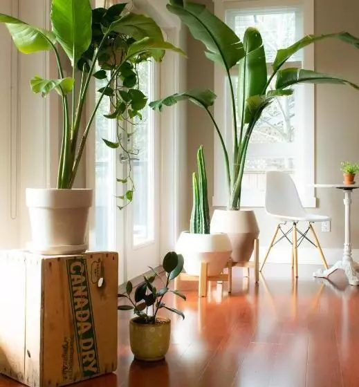 Aamiaismajoitus (B&B) Welcome Home