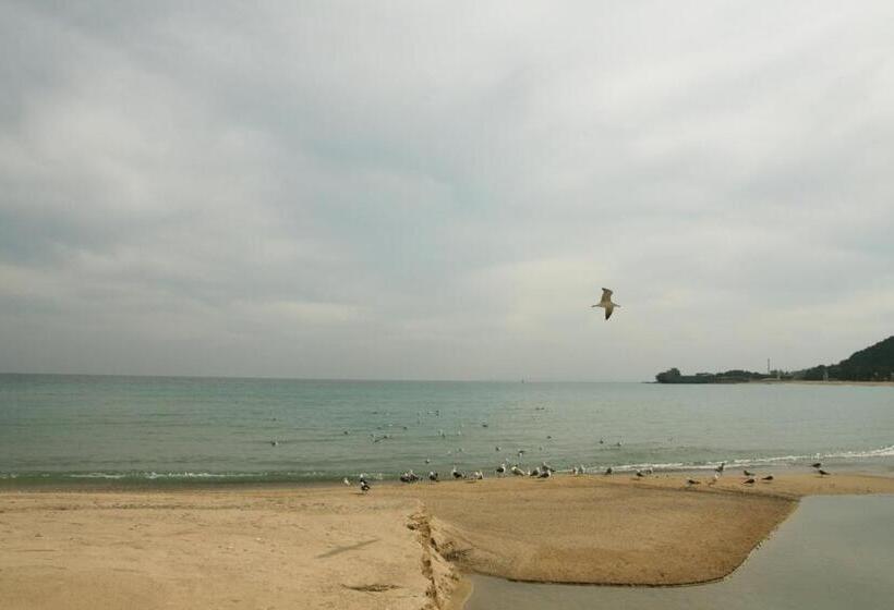 Yeongduk Blue Beach Pension