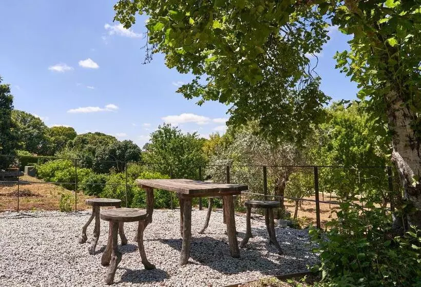 Hotelli Solar De Vilar Seco