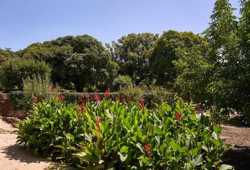 Hotelli Solar De Vilar Seco