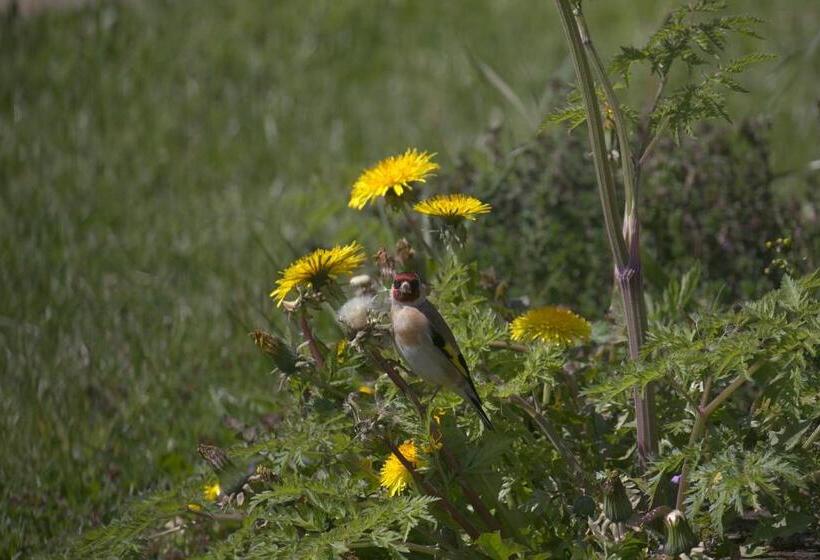 مبيت وإفطار Polderzicht