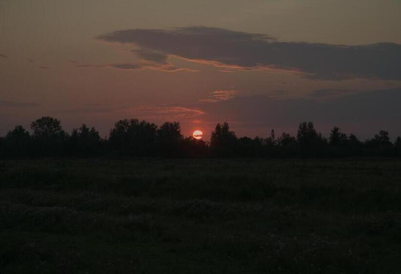 مبيت وإفطار Polderzicht