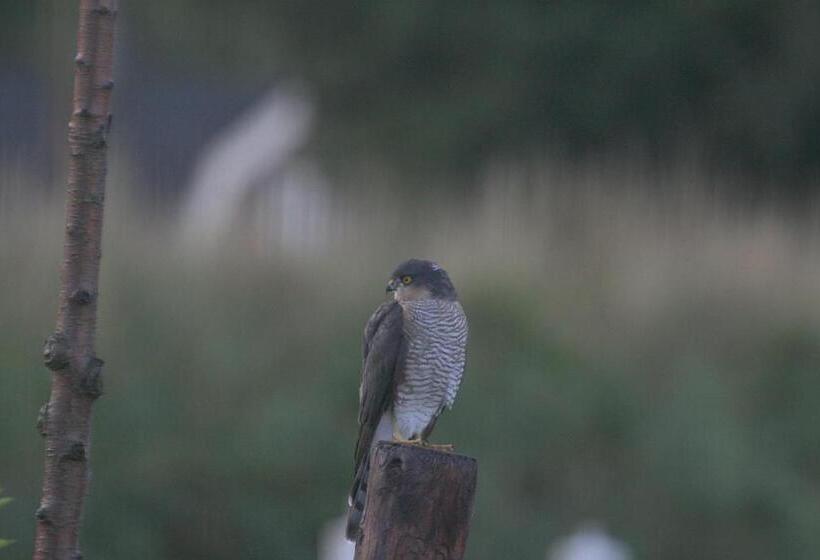 مبيت وإفطار Polderzicht