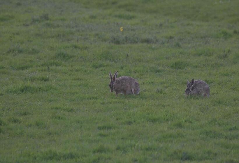 مبيت وإفطار Polderzicht