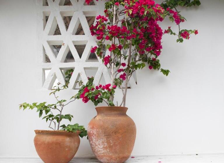 ペンション Mar Me Quer, Eco Beach Retreat