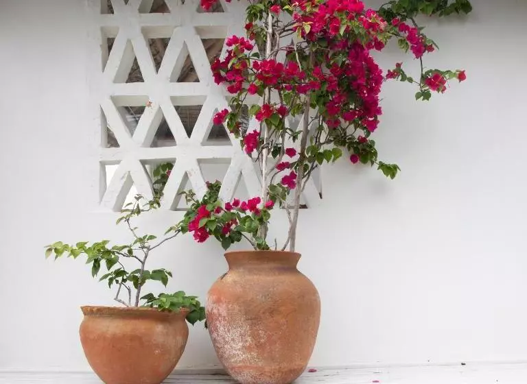 ペンション Mar Me Quer, Eco Beach Retreat