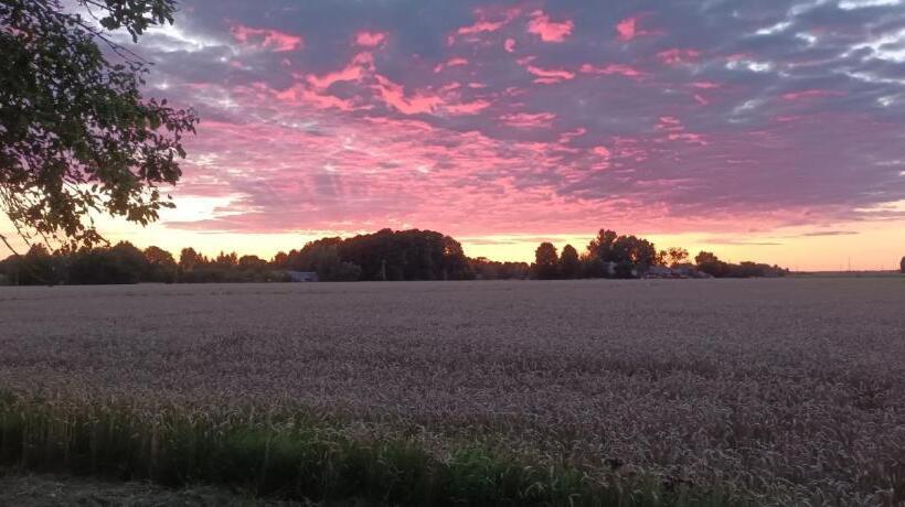 پانسیون Nilseni