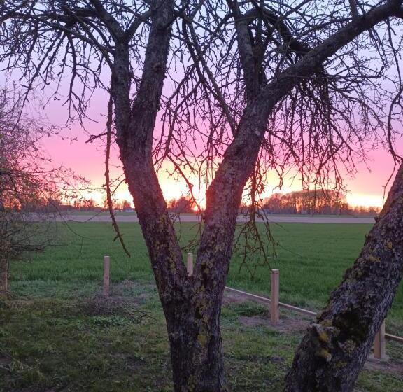 پانسیون Nilseni