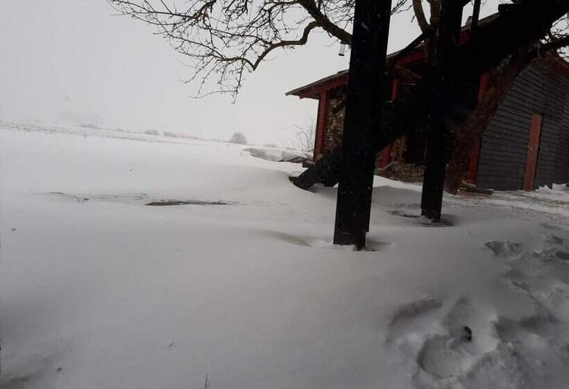 پانسیون Nilseni