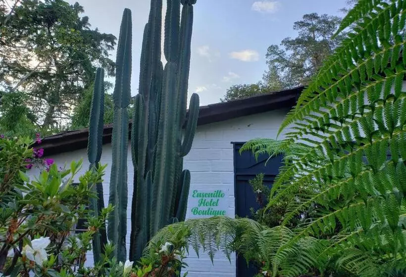 Majatalo Ensenillo Hotel Boutique