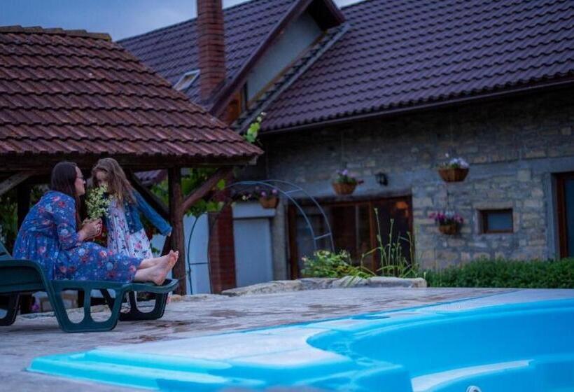 Agropensiunea Rafila