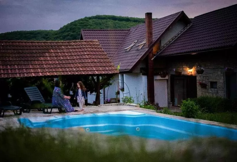 Agropensiunea Rafila