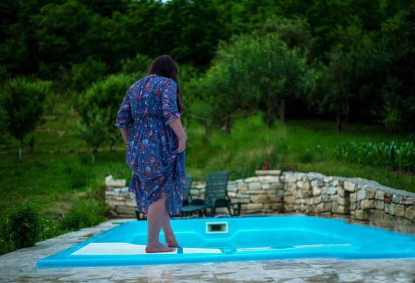 Agropensiunea Rafila