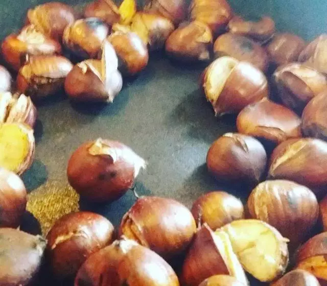 Agropensiunea Rafila