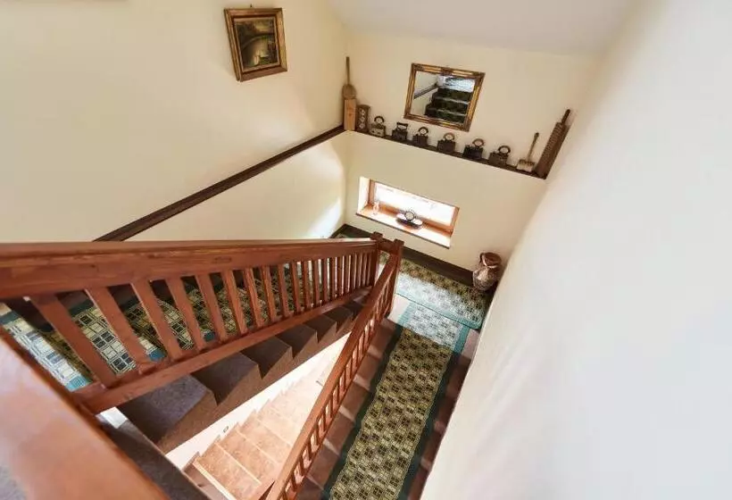 Aamiaismajoitus (B&B) Villa Lupu