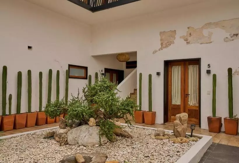 Retkeilymaja Stay Ortenxia