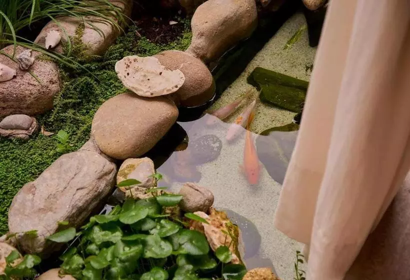 Retkeilymaja Stay Ortenxia