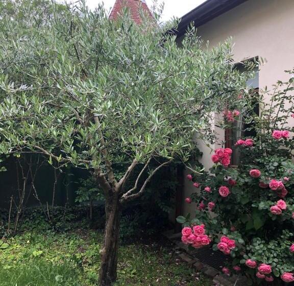 Les Jardins Du Chateau