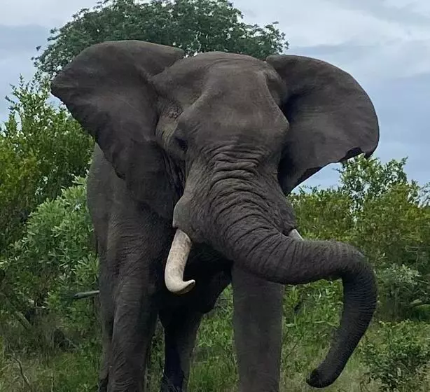 Majatalo Overnight Stop Before Kruger National Park