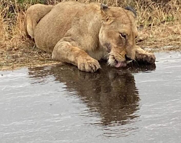 Pensjonat Overnight Stop Before Kruger National Park