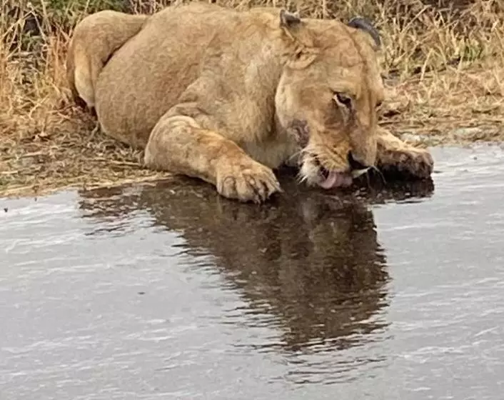 Majatalo Overnight Stop Before Kruger National Park