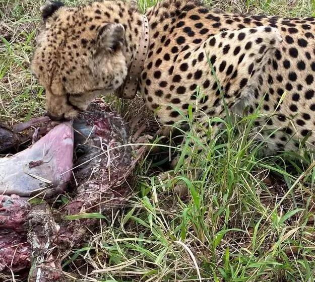 Majatalo Overnight Stop Before Kruger National Park