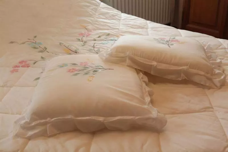 B&b Nollekes Winning