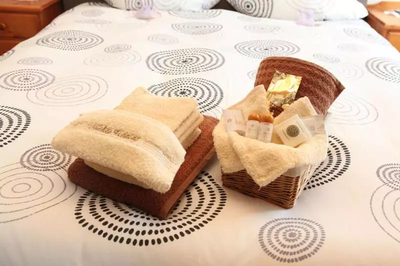 B&b Nollekes Winning