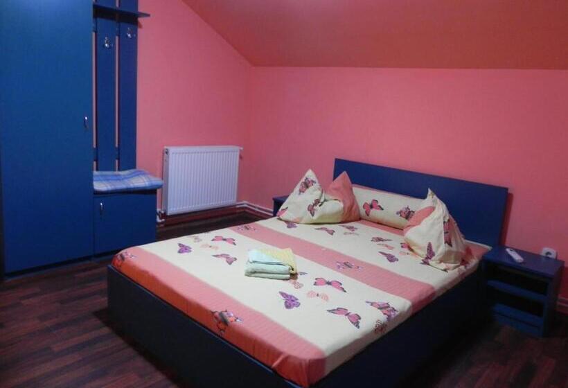 住宿加早餐  Pension Puiu