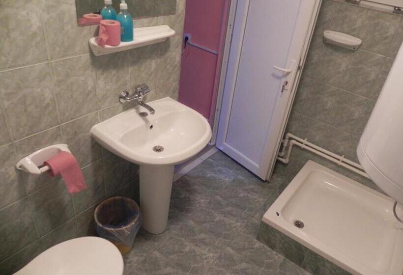 住宿加早餐  Pension Puiu