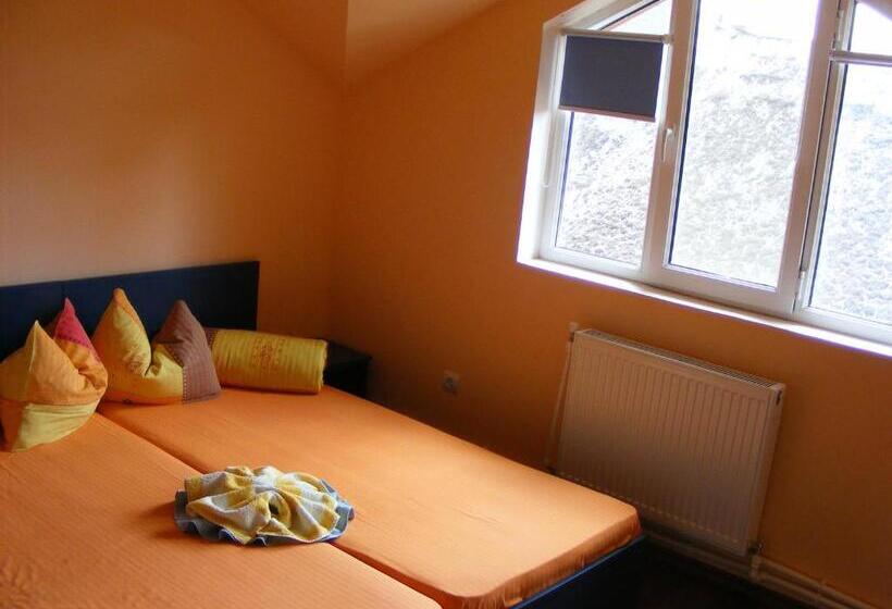 住宿加早餐  Pension Puiu