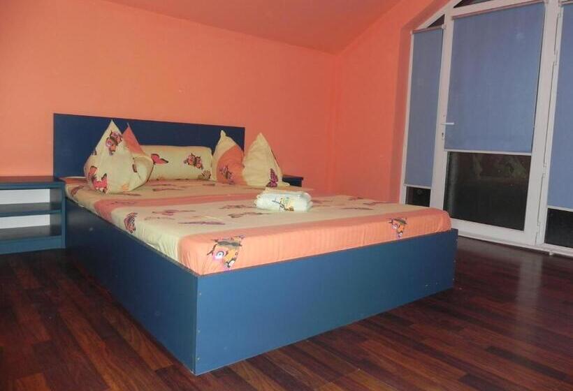 住宿加早餐  Pension Puiu