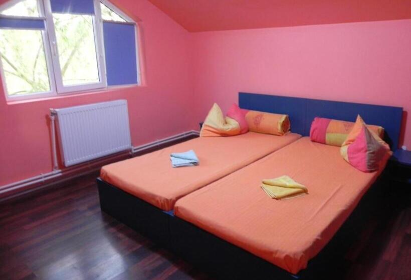 住宿加早餐  Pension Puiu