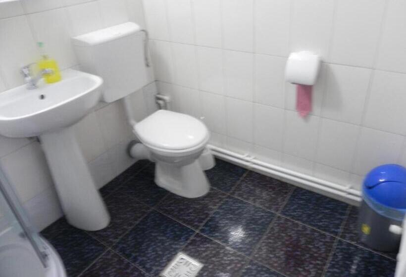 住宿加早餐  Pension Puiu