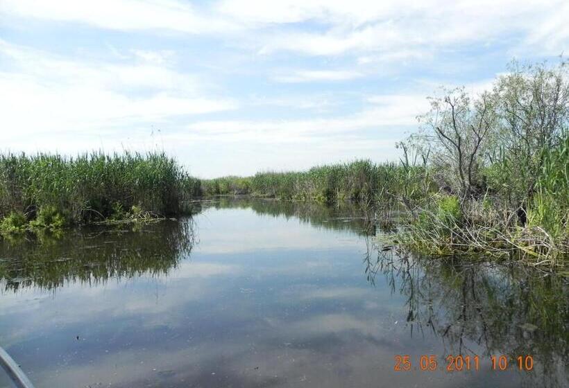 住宿加早餐  Pension Puiu