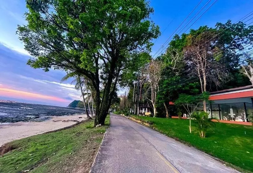 Holiday Resort   Sha Plus