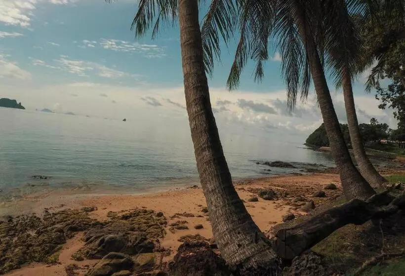 Holiday Resort   Sha Plus