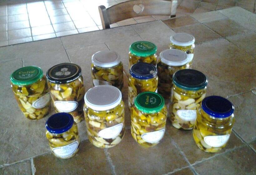 Отель Agriturismo Silitta