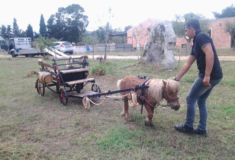 Отель Agriturismo Silitta