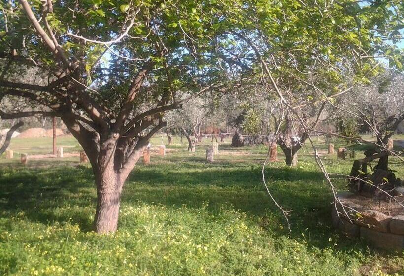 Отель Agriturismo Silitta