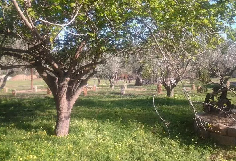 ホテル Agriturismo Silitta