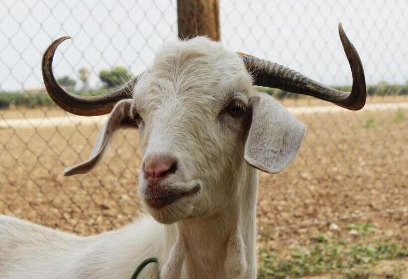 هتل Torre Forcheron