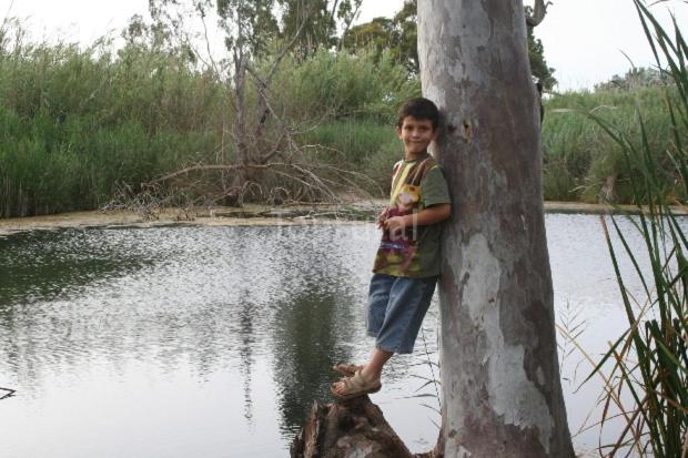 هتل Torre Forcheron