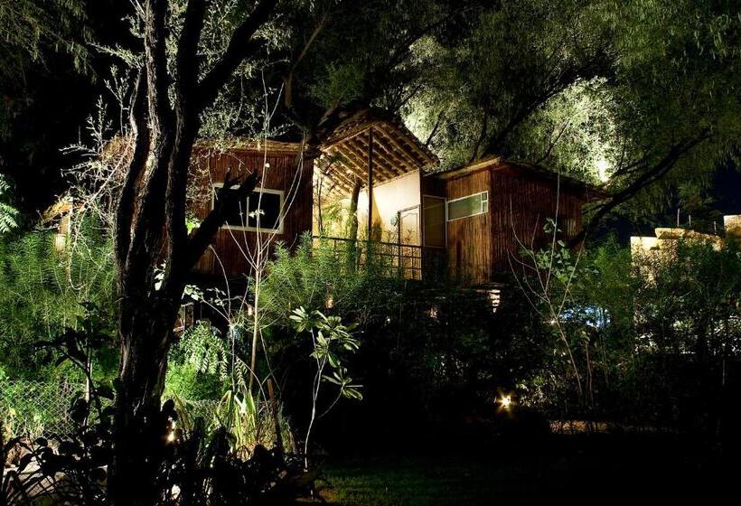 The Tree House Resort