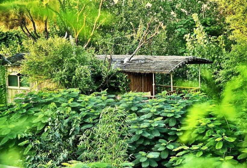 The Tree House Resort