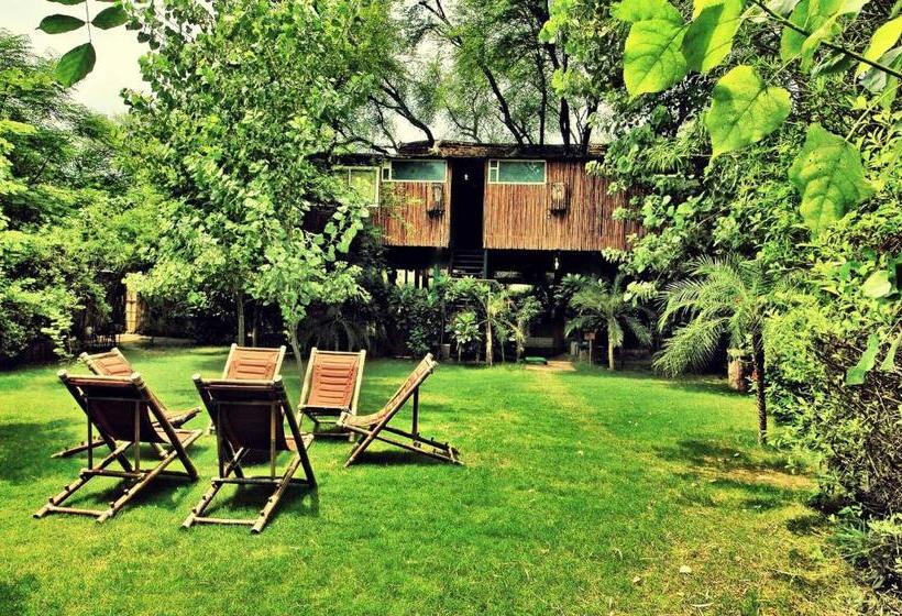 The Tree House Resort