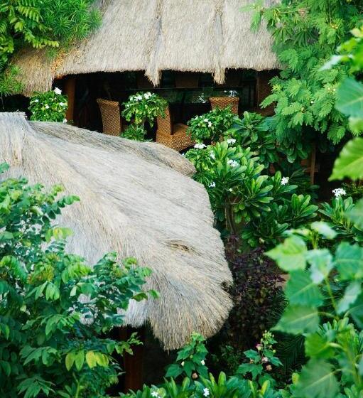 The Tree House Resort